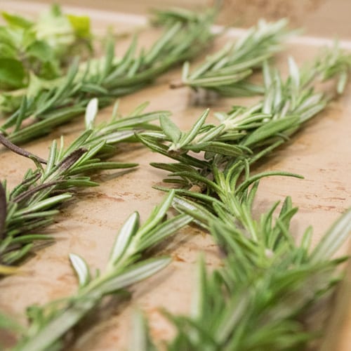 drying fresh herbs