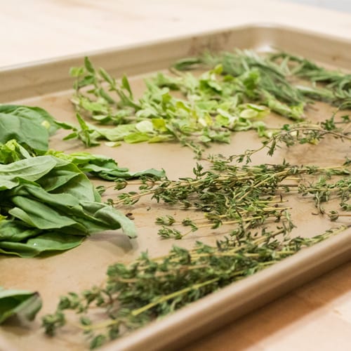 drying fresh herbs