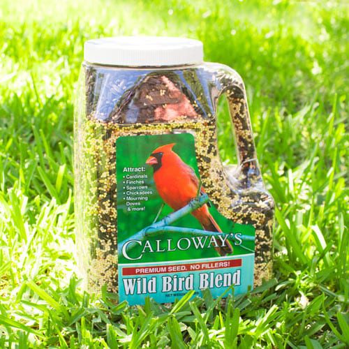 wild bird blend bird seed