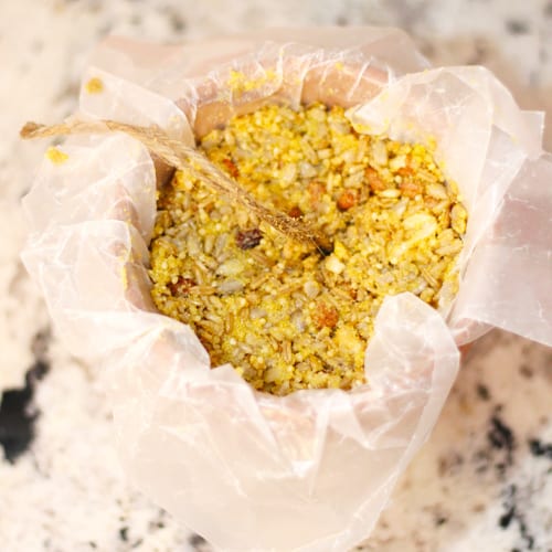 Fill Terra Cotta Pottery With Bird Seed Mold for DIY Bird Seed Bells | Calloway's Nursery