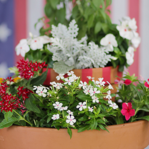 patriotic outdoor planters