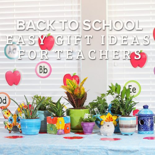 5 Back to School Easy Gift Ideas for Teachers | Calloway's Nursery