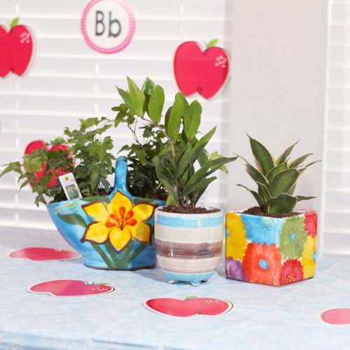 Unique Hand Painted Pottery for Tabletop Indoor Plants | Calloway's Nursery