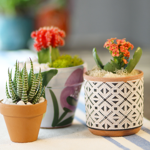 small gift ideas with miniature plants