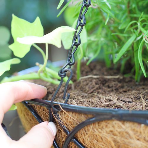 Coco Liner Chain Link Hanging Basket | Calloway's Nursery