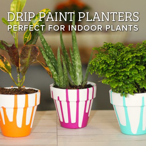 DIY planters