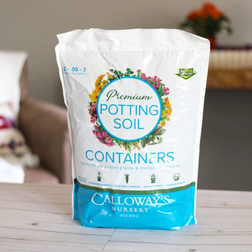 calloway's premium container potting soil