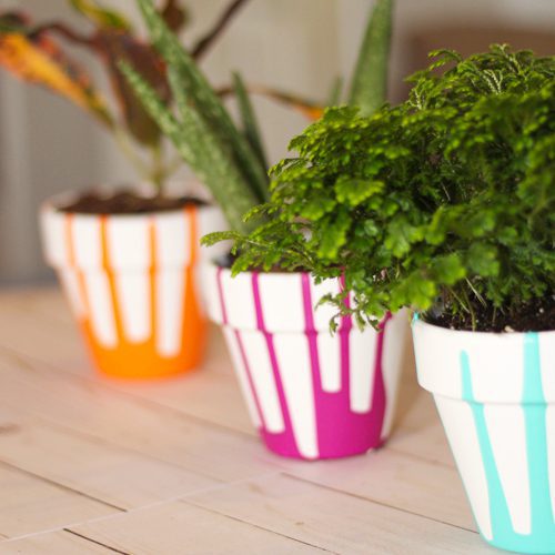 indoor plant pots