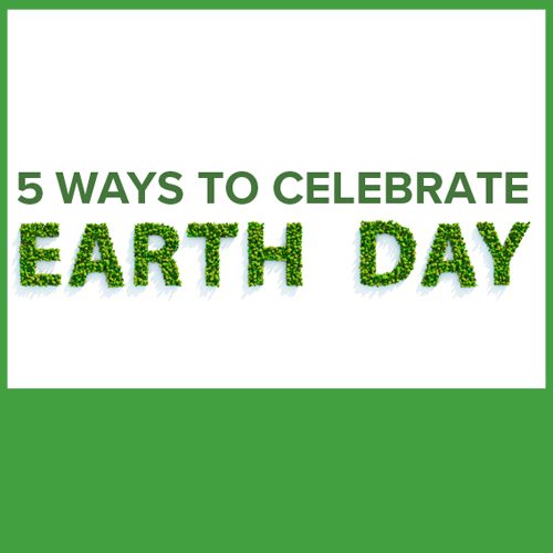 5 Ways to Celebrate Earth Day | Calloway’s Nursery