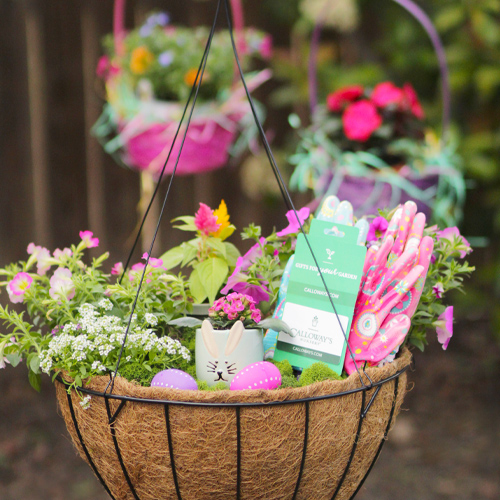 Unique Easter Gift Baskets in Hanging Planters