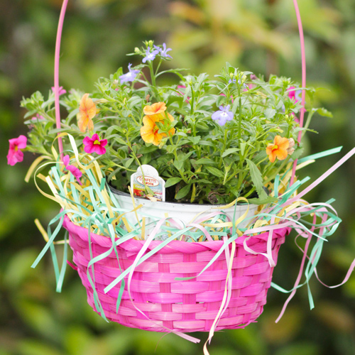 Easter gift baskets