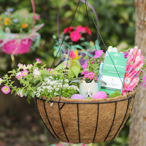 Spring Flowers for Easter Hanging Baskets