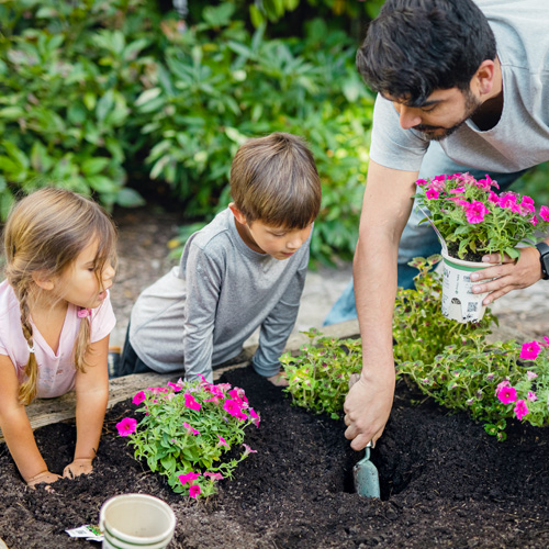 planting proven winners eco pots