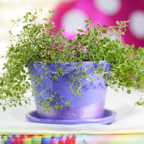 top hat planter