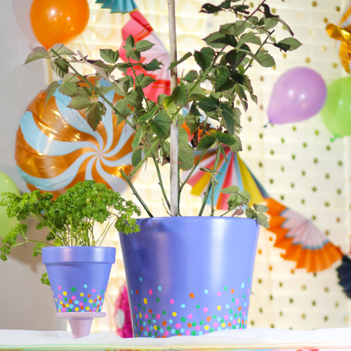 confetti pots