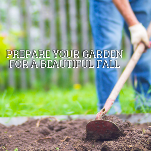 clean up for fall gardening