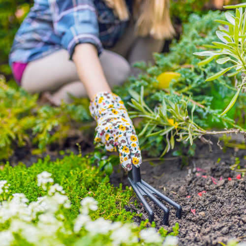 clean up flowerbeds