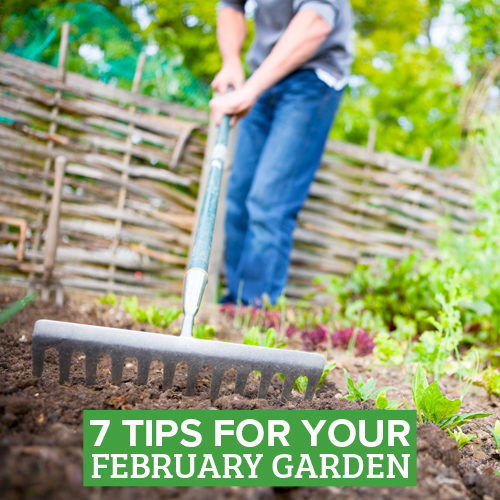 gardening in February | Picture of a garden rake