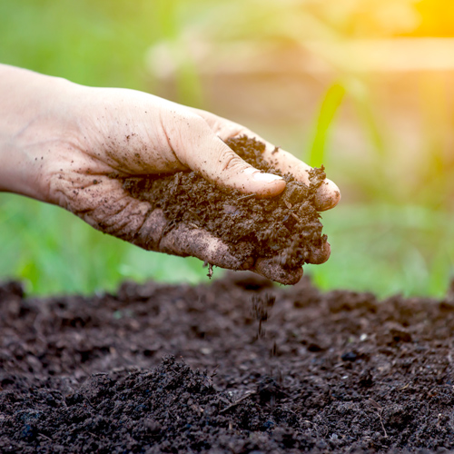 soil prep for spring | Hand holding soil