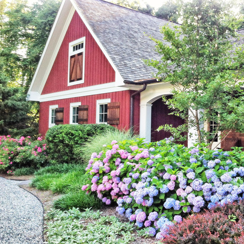 flowering shrubs in landscape