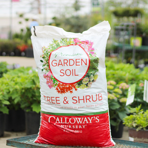 flowerbed garden soil