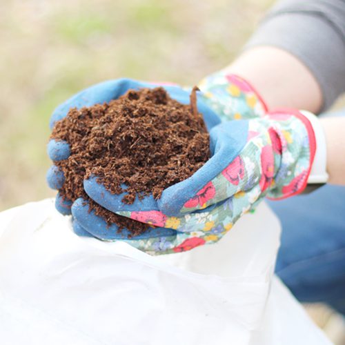 calloway's organic garden compost