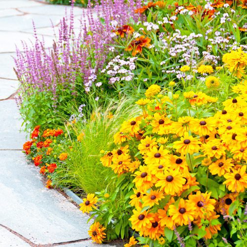 Benefits of Having Flowerbeds and Plants in Your Home or Office | Calloway’s Nursery