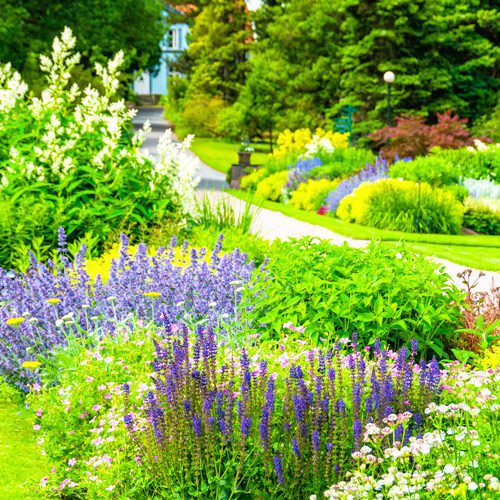 Marigolds, Zinnias, and Lantana Flowers in Garden | Calloway’s Nursery