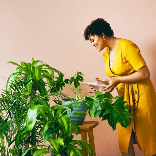 Woman Watering Houseplants | Calloway’s Nursery