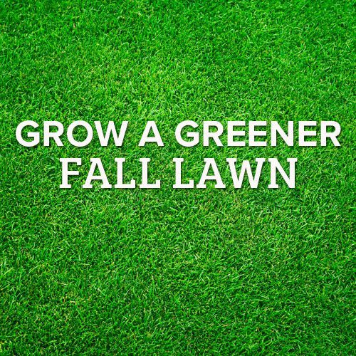 grow-greener-fall-lawn-background