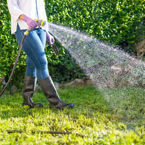 woman-watering-her-lawn-with-hose