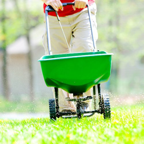 green-lawn-fertilizer-spreader-loan