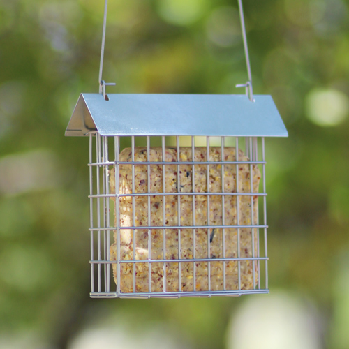 metal suet cake holder