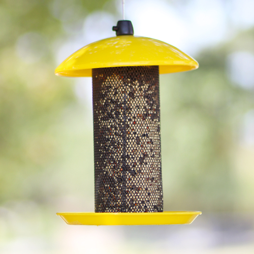 finch bird feeder