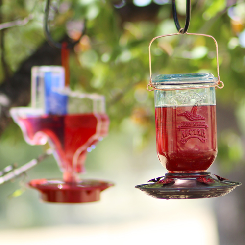 hummingbird feeders