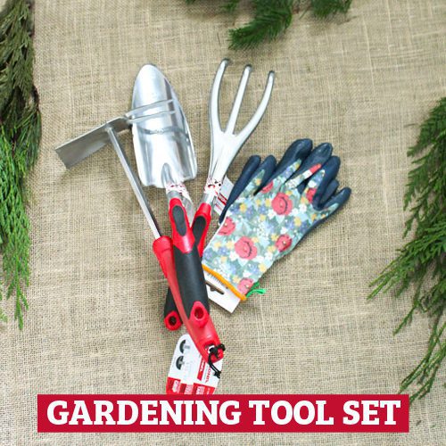 gardening tool set