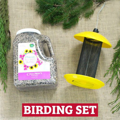 birding set