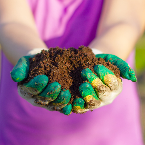 garden compost