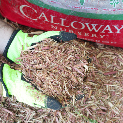 Calloway's mulch