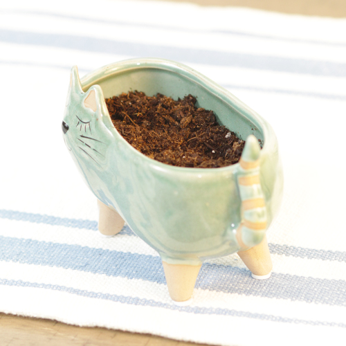 potting soil