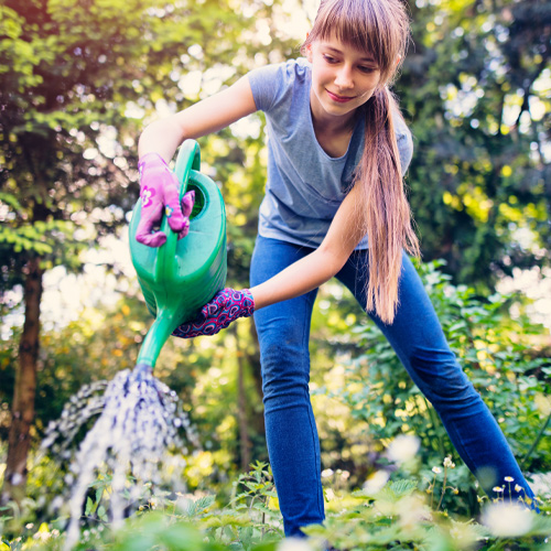 watering plants