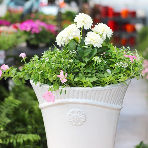 outdoor container garden for mom