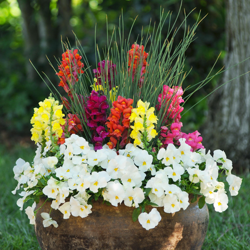 container gardening