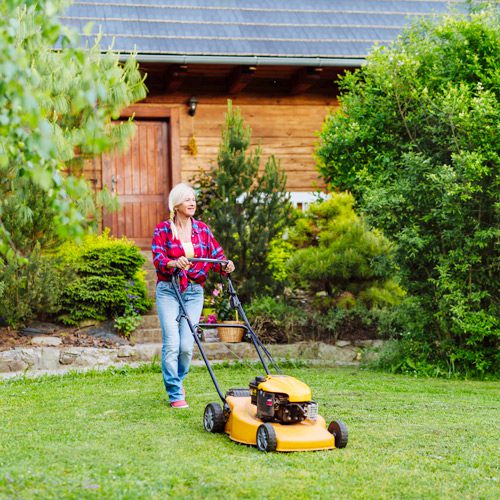 Mowing Lawn for November Gardening | Calloway's Nursery