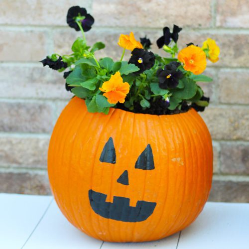 Jack O Lantern Pumpkin Planter for Fall Gardening | Calloway's Nursery