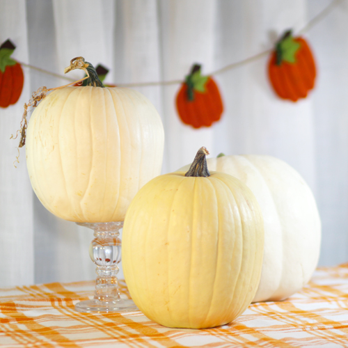 white pumpkins