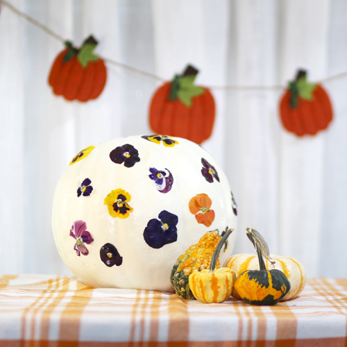 pumpkin decorating ideas with pansies