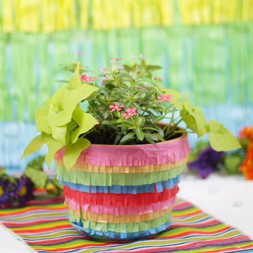 Pinata Planter Ideas