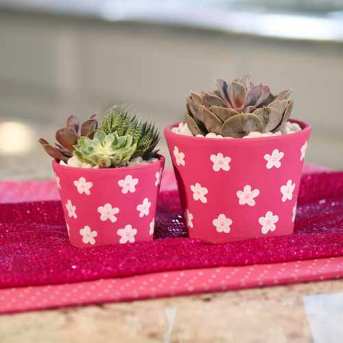 Paint Your Own Pottery : DIY Painted Ceramic Planter — Pink