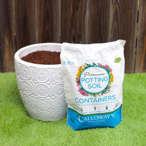 Calloway’s Premium Container Potting Soil for Fall Gardening | Calloway's Nursery